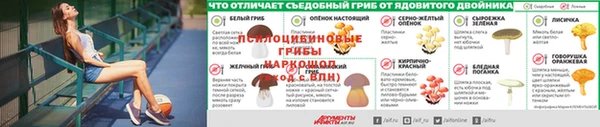 гашик Горно-Алтайск