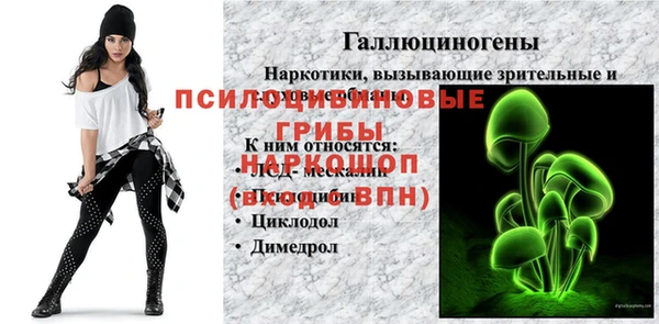гашик Горно-Алтайск