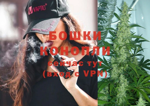 Альфа ПВП Нягань