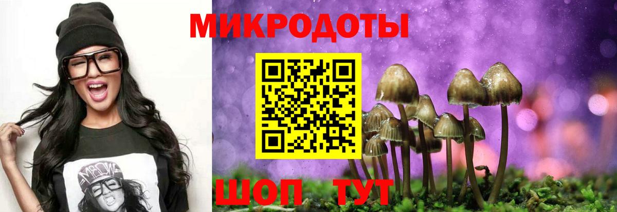 закладки  Вход с VPN  Ноябрьск  Псилоцибиновые грибы Psilocybe 